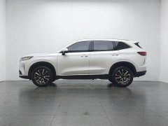 Haval H6 2022 Third Generation 1.5T Automatic Two-Wheel Drive Max - ფოტო 10