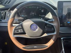 BYD Tang New Energy DM-i 112KM Premium Edition - ფოტო 15