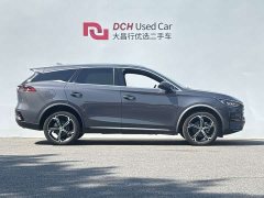 BYD Tang New Energy DM-i 112KM Premium Edition - ფოტო 3