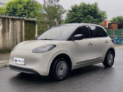 Wuling Binguo 333km Lingxi Connected Edition - ფოტო 1