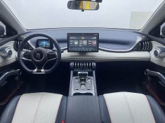 BYD Yuan Plus 430KM Luxury - ფოტო 17