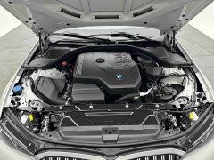 BMW 3 Series 320Li M Sport Package - ფოტო 19