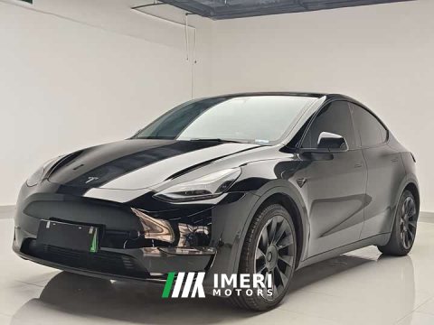 2021 Tesla Model Y Standard Range RWD - ავტომობილი ჩინეთიდან