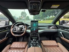 BYD Tang New Energy 2021 DM-i 112KM Premium Edition - ფოტო 13