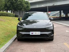 Nio Lerado L60 2024 60kWh Rear-Wheel Drive - ფოტო 2