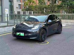 Tesla Model Y Rear-Wheel Drive - ფოტო 1