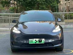 Tesla Model Y Rear-Wheel Drive - ფოტო 3