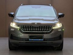 Skoda Kodiaq GT TSI330 FWD Luxury - ფოტო 1