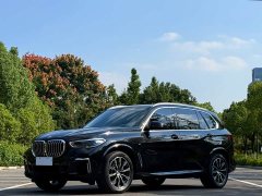 BMW X5 2022 Facelift xDrive 30Li M Sport Premium Package - ფოტო 1