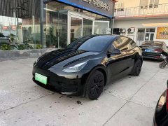Tesla Model Y Rear-Wheel Drive - ფოტო 1