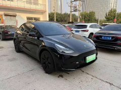 Tesla Model Y Rear-Wheel Drive - ფოტო 3