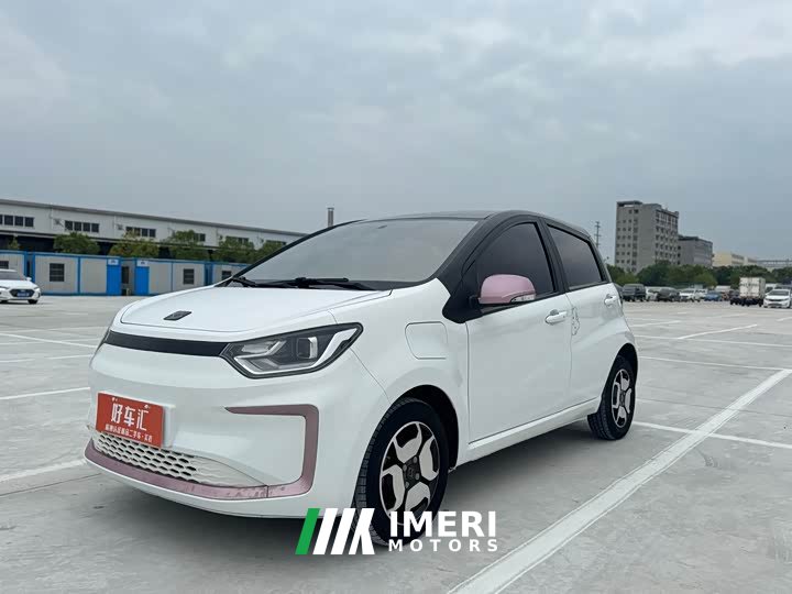 Flower Fairy 302km Luxury 31.4kWh