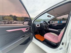 Flower Fairy 302km Luxury 31.4kWh - фото 10