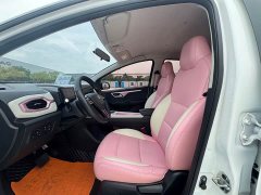 Flower Fairy 302km Luxury 31.4kWh - фото 11