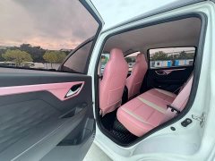 Flower Fairy 302km Luxury 31.4kWh - фото 12