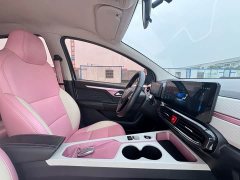 Flower Fairy 302km Luxury 31.4kWh - фото 14