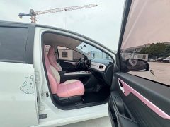 Flower Fairy 302km Luxury 31.4kWh - фото 15