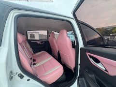 Flower Fairy 302km Luxury 31.4kWh - фото 16