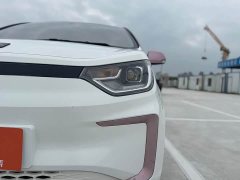 Flower Fairy 302km Luxury 31.4kWh - фото 17