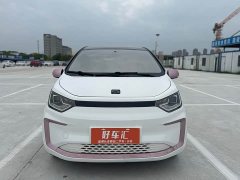 Flower Fairy 302km Luxury 31.4kWh - фото 2
