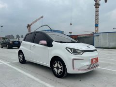 Flower Fairy 302km Luxury 31.4kWh - фото 3