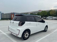 Flower Fairy 302km Luxury 31.4kWh - фото 5
