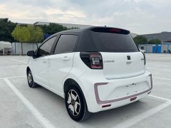 Flower Fairy 302km Luxury 31.4kWh - фото 7