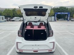 Flower Fairy 302km Luxury 31.4kWh - фото 8