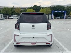 Flower Fairy 302km Luxury 31.4kWh - фото 9