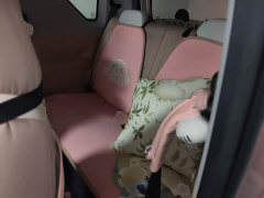 Geely Panda Mini 200km Endurance Edition - ფოტო 13