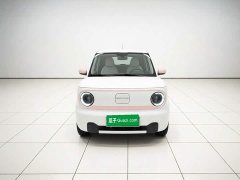 Geely Panda Mini 200km Endurance Edition - ფოტო 2