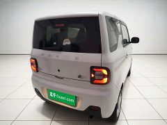 Geely Panda Mini 200km Endurance Edition - ფოტო 4