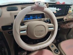 Geely Panda Mini 200km Endurance Edition - ფოტო 6