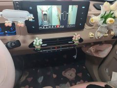 Geely Panda Mini 200km Endurance Edition - ფოტო 9
