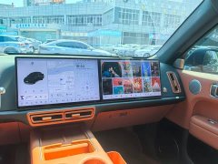 Li Auto L6 Pro - ფოტო 9
