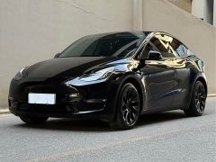 Tesla Model Y Standard Range RWD - ფოტო 1