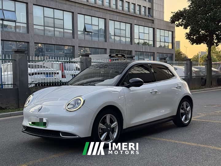 ORA Good Cat 2021 400km Standard Range Athena Edition LFP Battery - ავტომობილი ჩინეთიდან