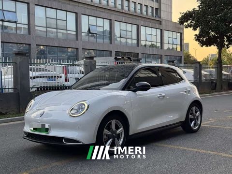 2022 ORA Good Cat 2021 400km Standard Range Athena Edition LFP Battery - ავტომობილი ჩინეთიდან