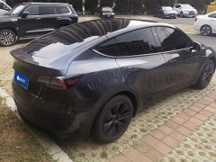 Tesla Model Y Rear-Wheel Drive - ფოტო 3