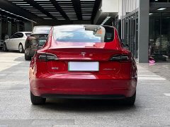 Tesla Model 3 2020 Facelift Standard Range RWD Upgrade - ფოტო 14