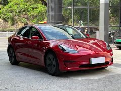 Tesla Model 3 2020 Facelift Standard Range RWD Upgrade - ფოტო 3