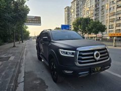 Denza Cannon 2021 2.0T Passenger Global Edition Automatic Gasoline 2WD Comfort Standard Box GW4C20B - ფოტო 2