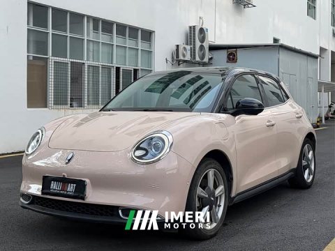 2022 ORA Good Cat 2021 400km Standard Range Athena Edition LFP Battery - ავტომობილი ჩინეთიდან