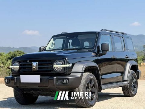 2023 Tank 300 Off-Road Edition 2.0T Conqueror - ავტომობილი ჩინეთიდან