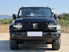 Tank 300 Off-Road Edition 2.0T Conqueror - ფოტო 2