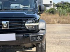 Tank 300 Off-Road Edition 2.0T Conqueror - ფოტო 4
