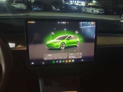 Tesla Model 3 2022 Rear-Wheel Drive - ფოტო 12