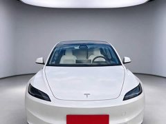 Tesla Model 3 2023 Rear-Wheel Drive - ფოტო 2