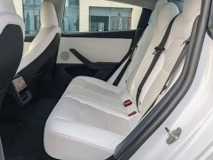 Tesla Model 3 2023 Rear-Wheel Drive - ფოტო 8