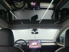 Tesla Model Y Performance All-Wheel Drive - ფოტო 10